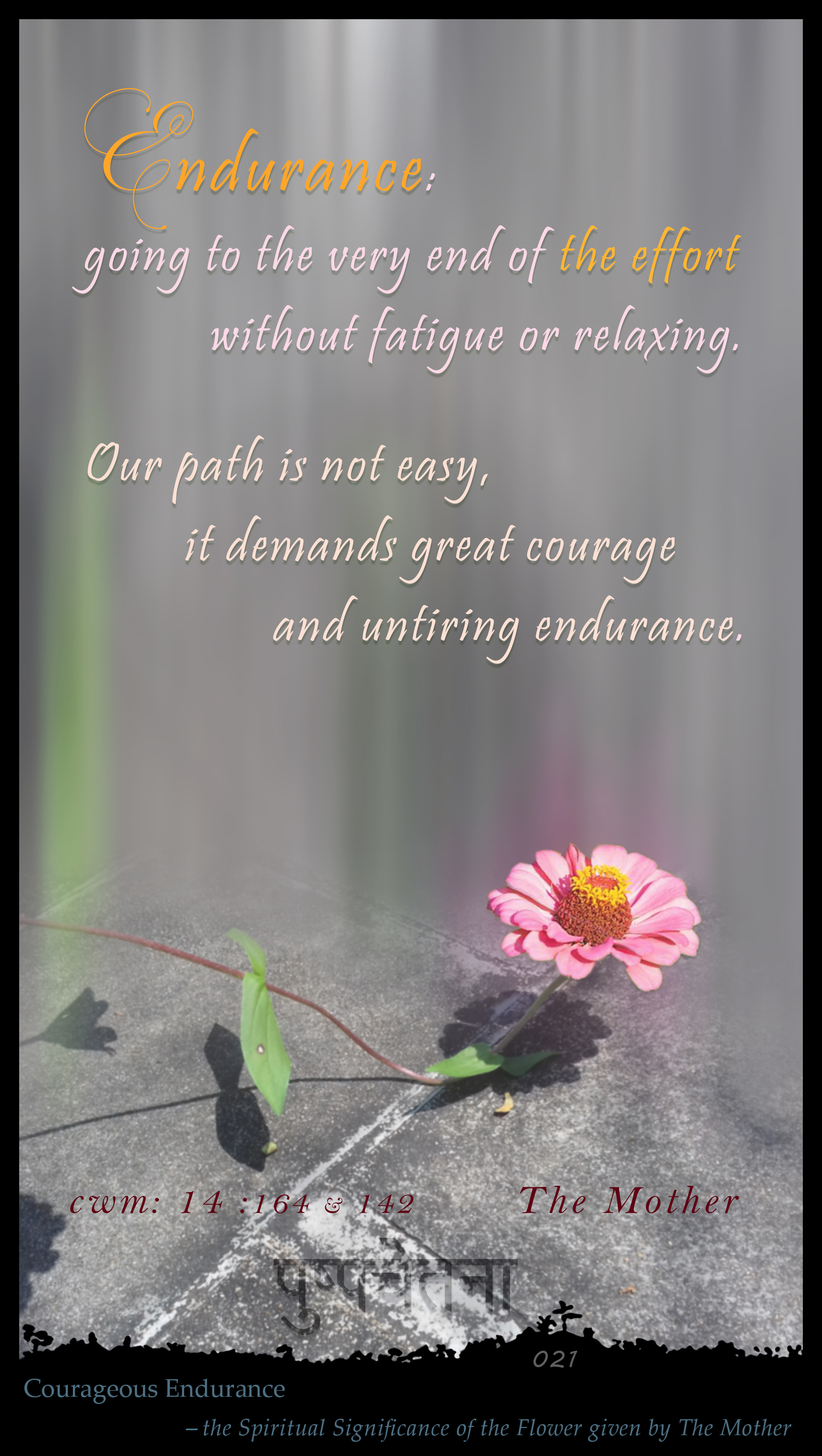Endurance